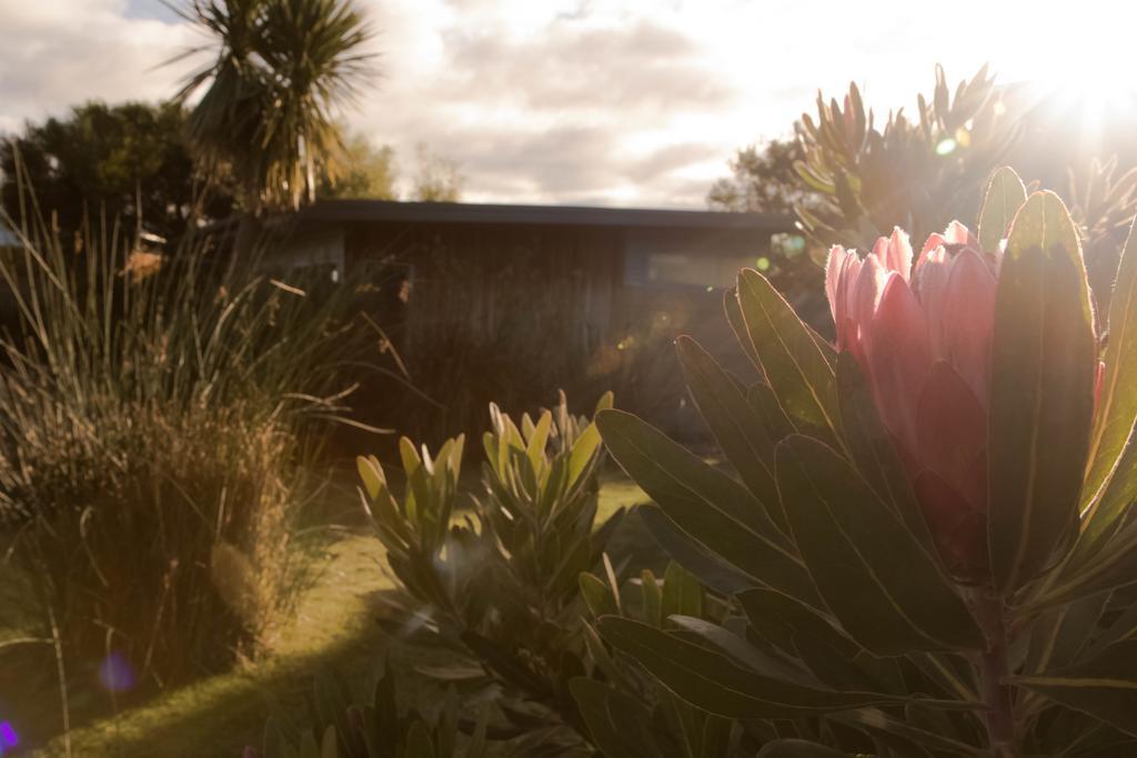 Eagle Peaks At Freycinet Apartment Coles Bay Exterior foto
